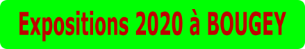 Expositions 2020 à BOUGEY