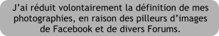 Jai rduit volontairement la dfinition de mes photographies, en raison des pilleurs dimages de Facebook et de divers Forums.